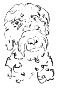 gustav